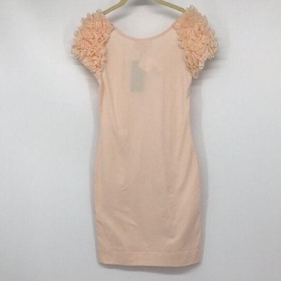 H&M NWT paste pink The Garden Collection bodycon mini dress puffy floral sleeves - Picture 3 of 15